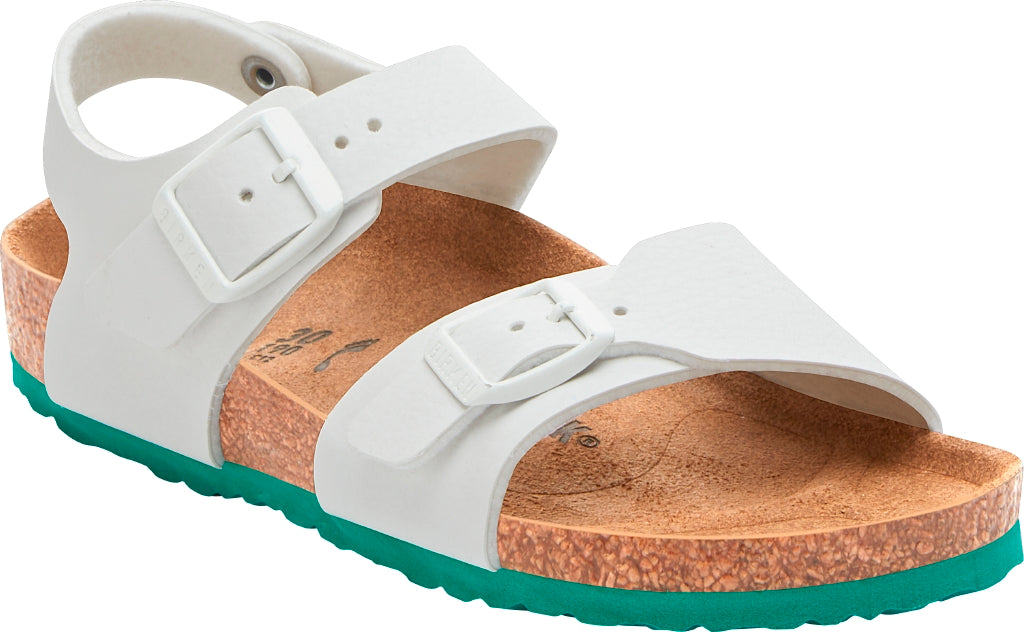 gid://shopify/Product/15943363264844_1