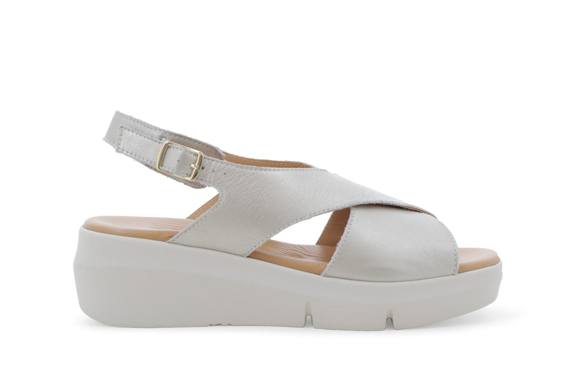 gid://shopify/Product/15761167974732_1