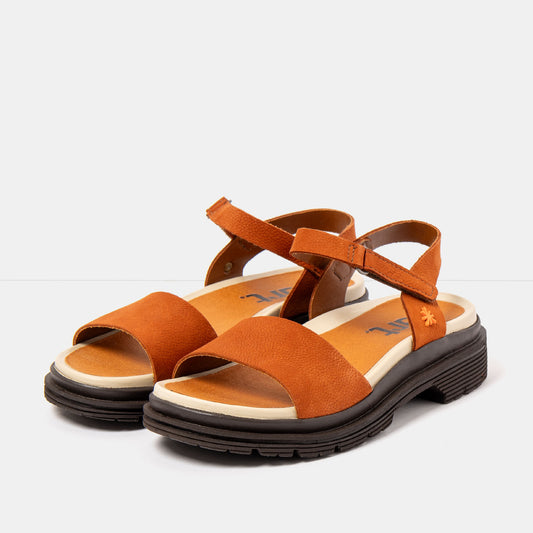 gid://shopify/Product/16172928434508_2