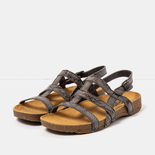 gid://shopify/Product/16172866765132_2