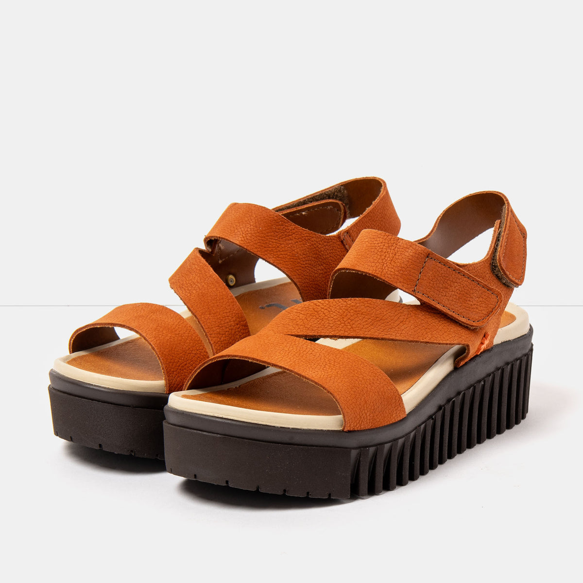 gid://shopify/Product/16172929843532_2