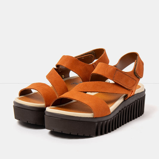 gid://shopify/Product/16172929843532_2