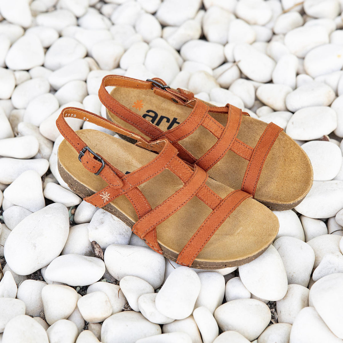 gid://shopify/Product/16172864569676_7