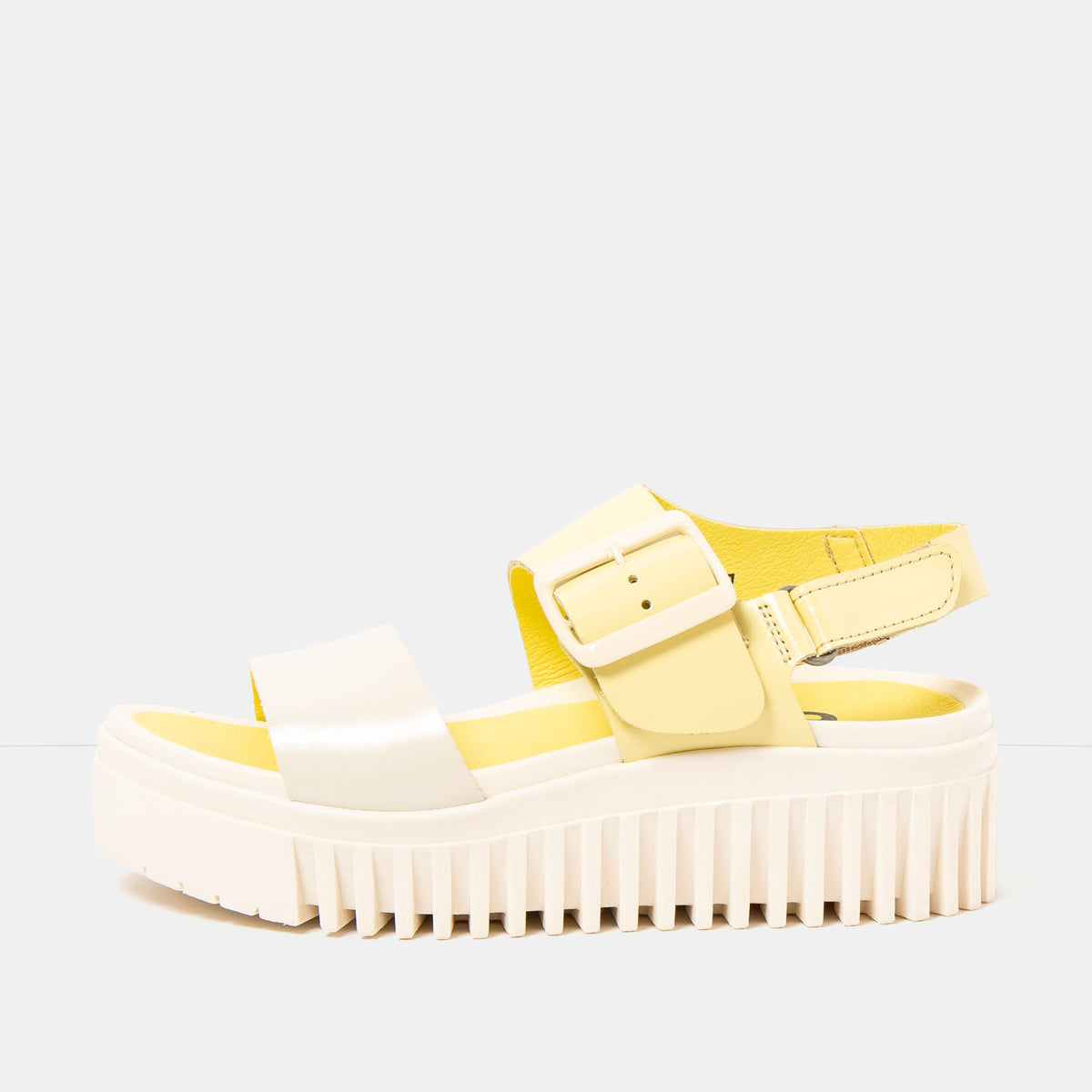gid://shopify/Product/16172937904460_1