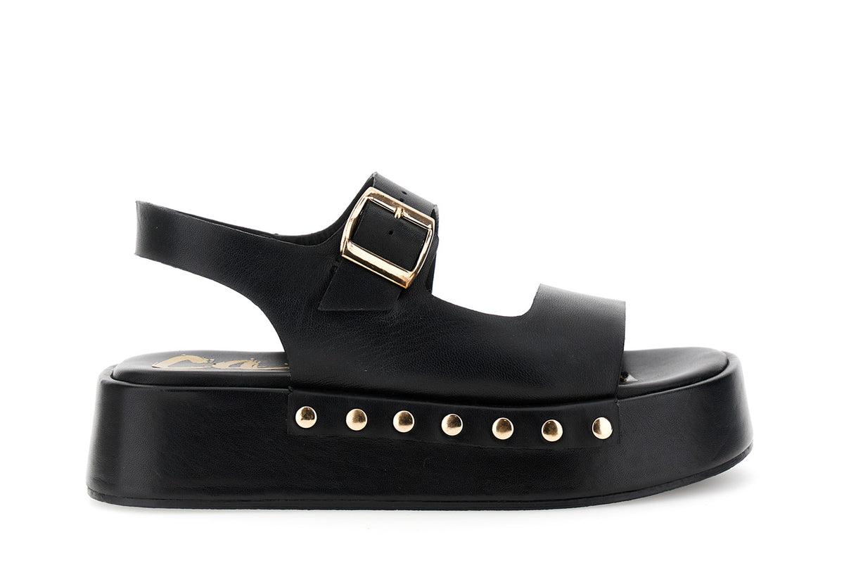 gid://shopify/Product/16122348372300_58876279423308