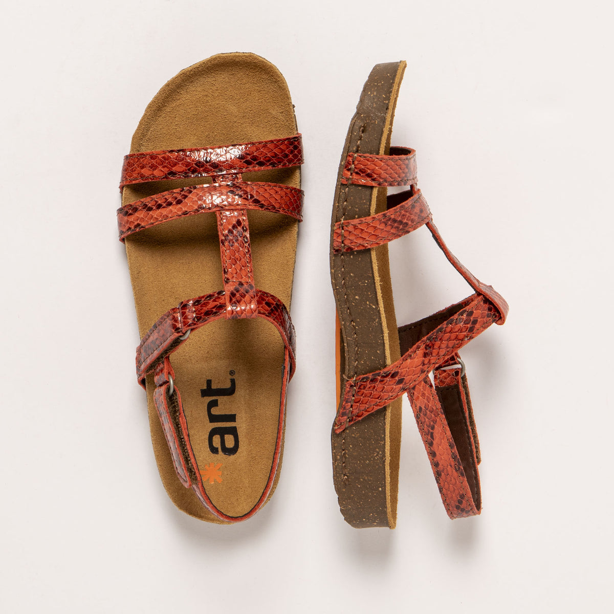 gid://shopify/Product/16171939594572_4