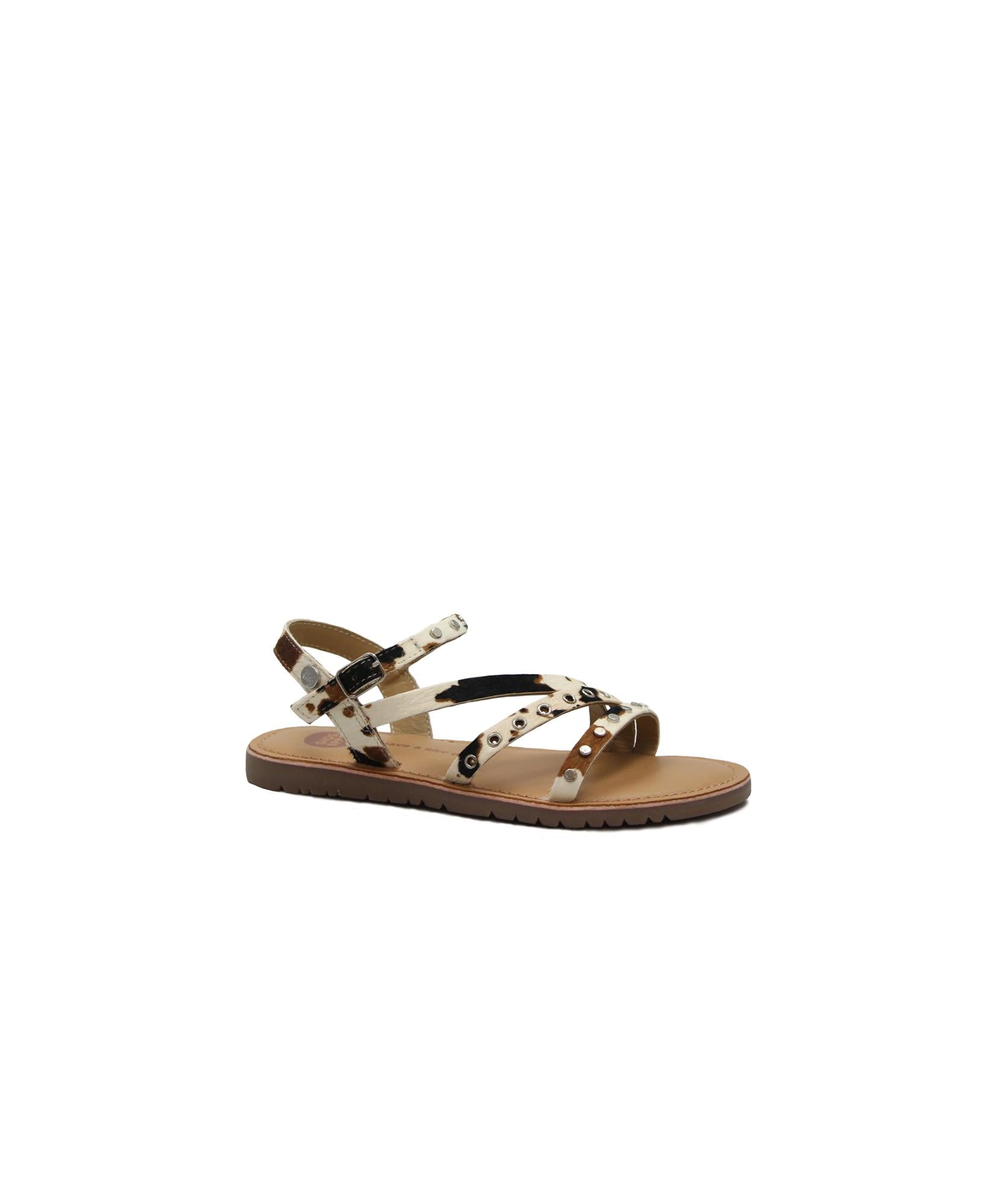 gid://shopify/Product/15738467385676_1