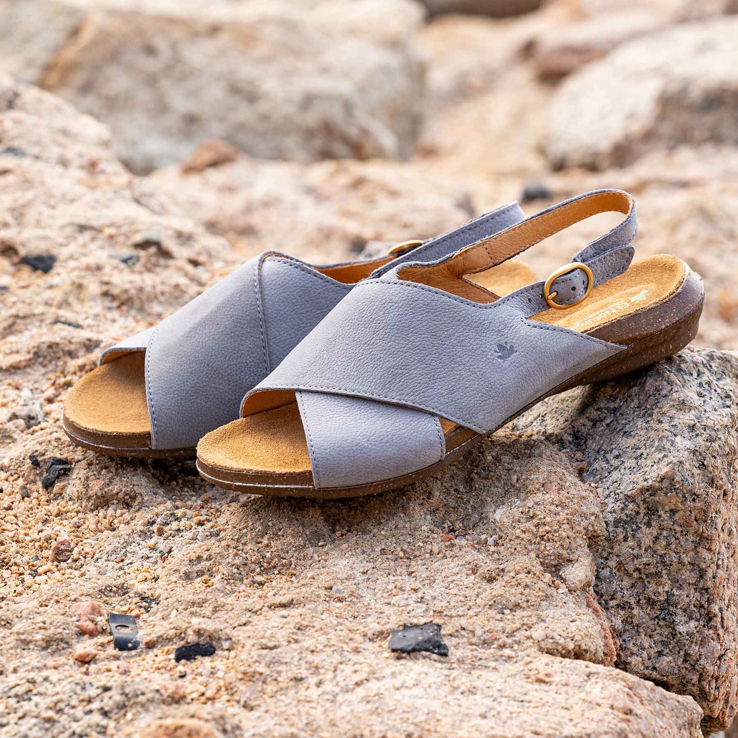 gid://shopify/Product/15700372029772_7