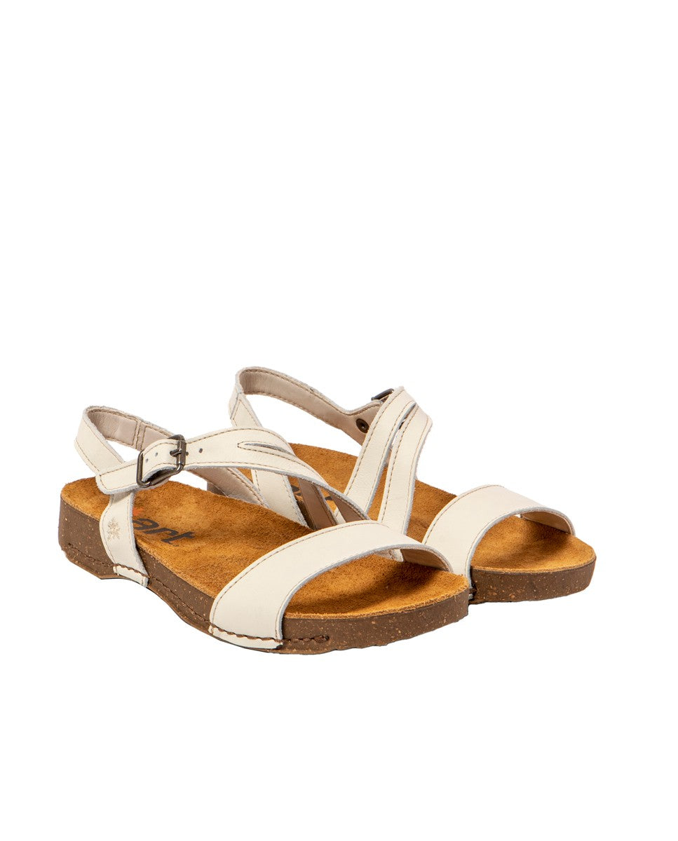 gid://shopify/Product/15785676407116_2