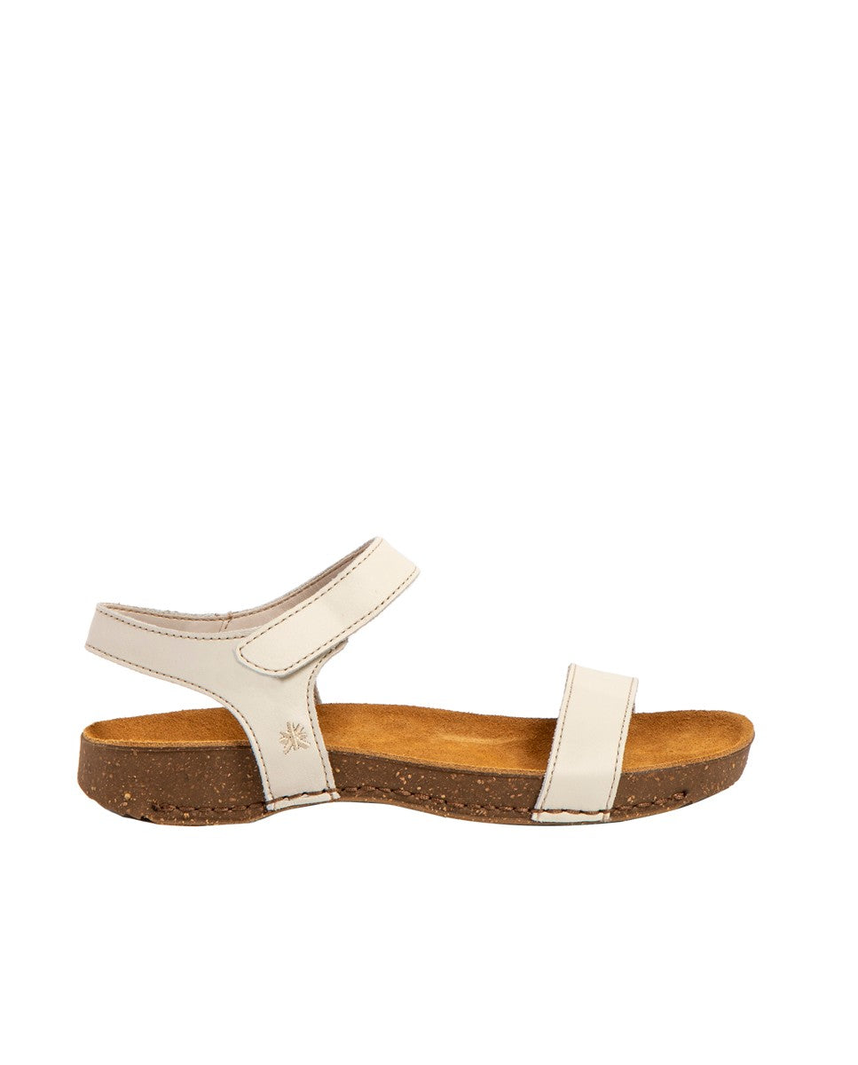 gid://shopify/Product/15785677357388_1