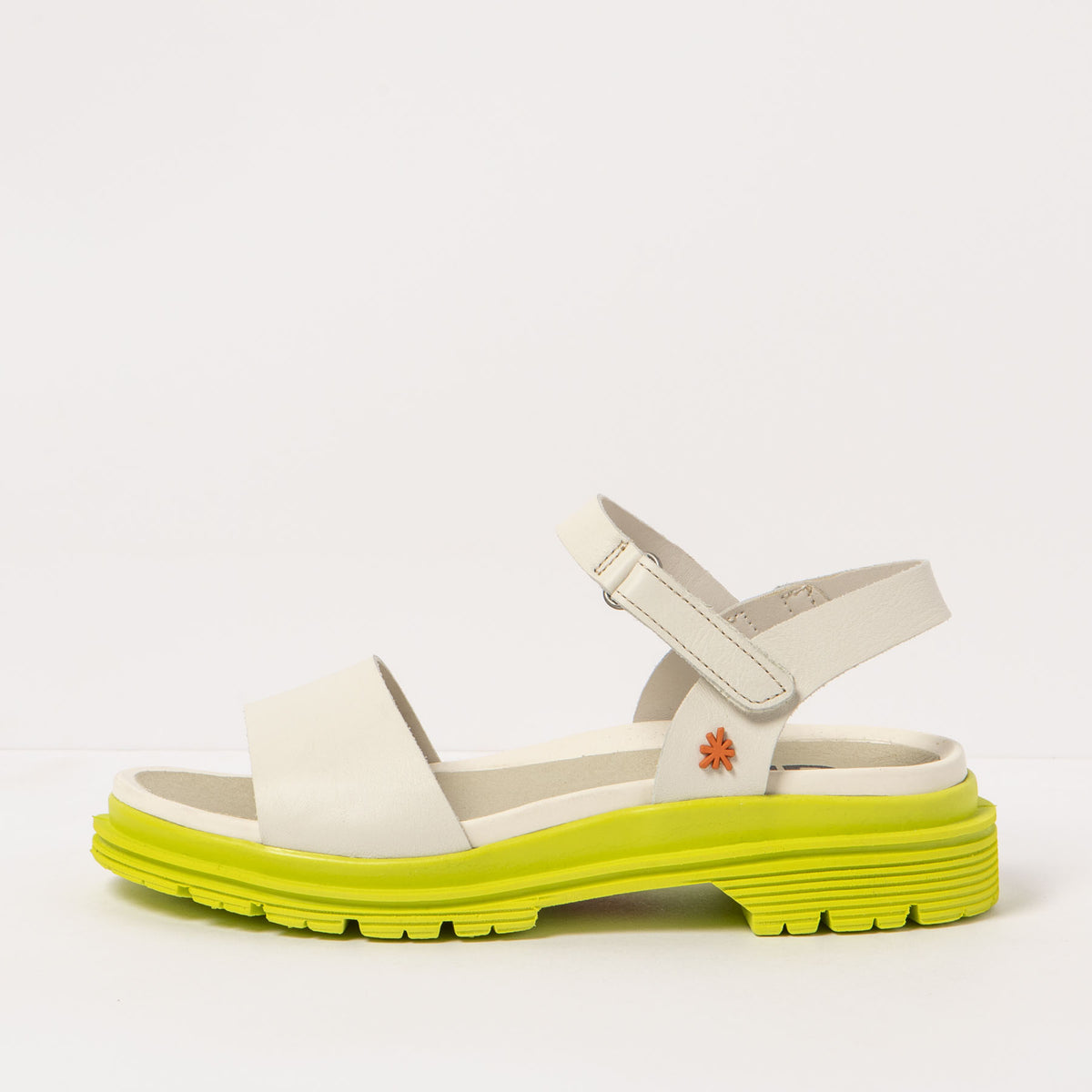 gid://shopify/Product/16171271487820_4