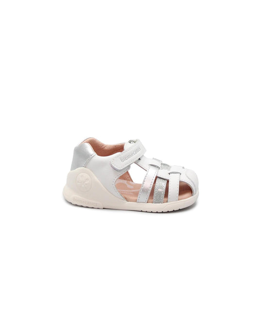gid://shopify/Product/15738529677644_1