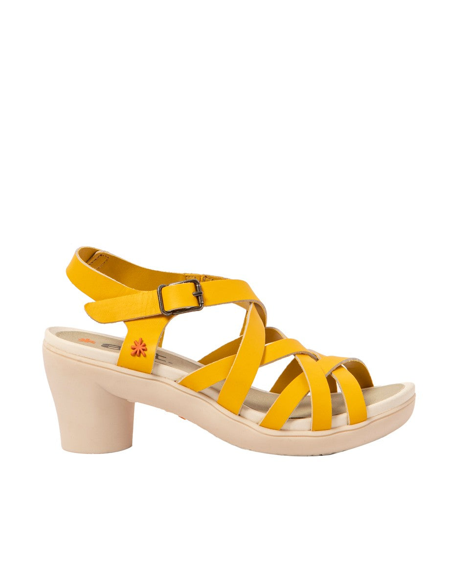 gid://shopify/Product/15785715433804_1