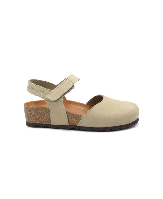 gid://shopify/Product/15738621428044_1