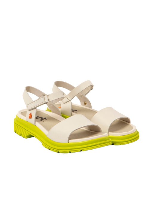 gid://shopify/Product/16171271487820_2