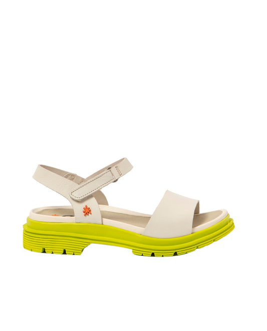 gid://shopify/Product/16171271487820_1
