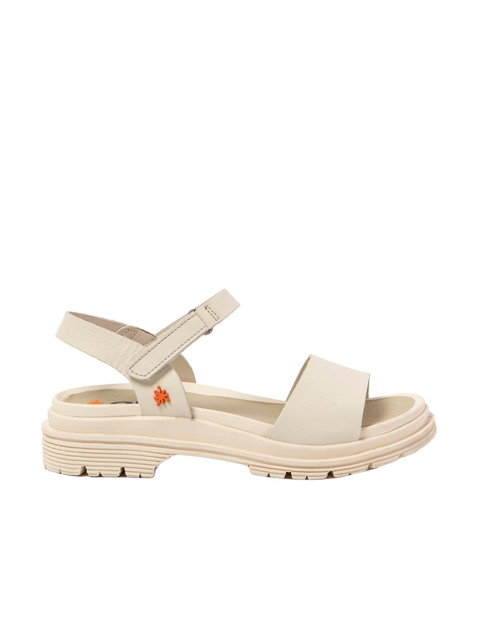 gid://shopify/Product/16171275977036_1