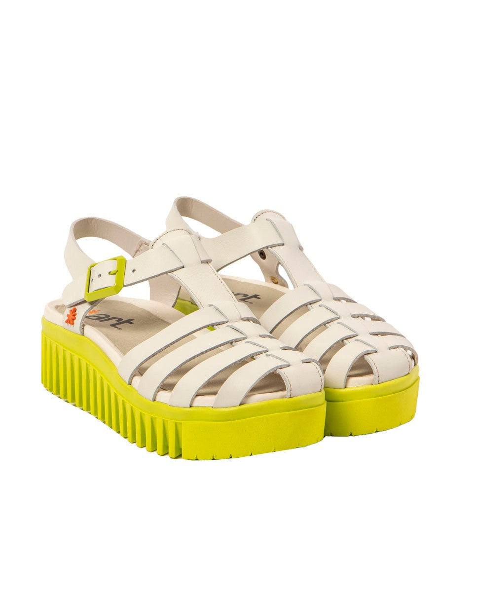 gid://shopify/Product/16171333452108_2