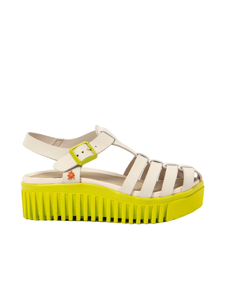 gid://shopify/Product/16171333452108_1