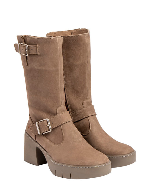 gid://shopify/Product/16171427365196_2