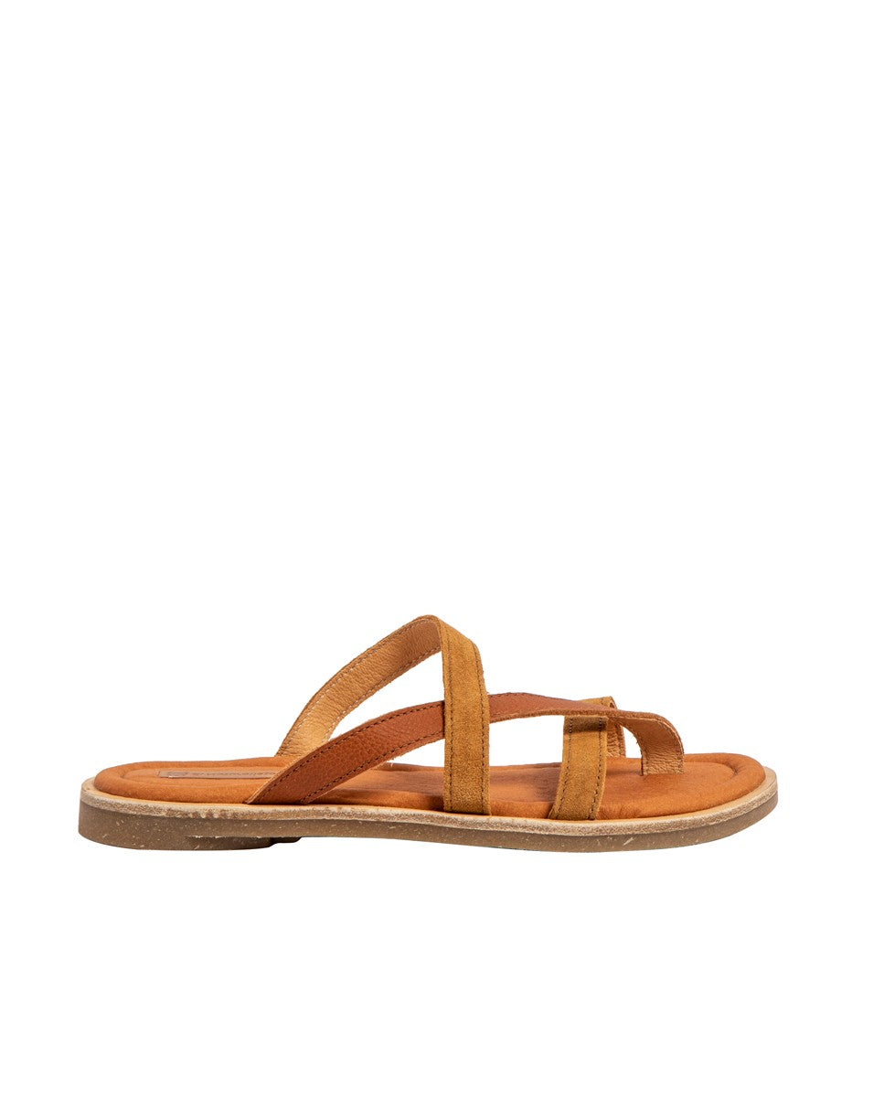 gid://shopify/Product/15700052377932_1