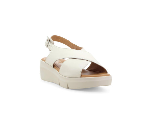 gid://shopify/Product/15761169613132_2