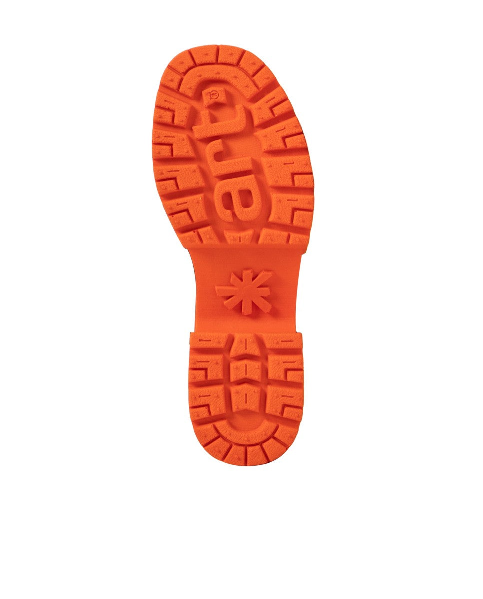 gid://shopify/Product/16171547984204_3