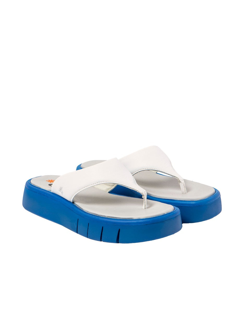 gid://shopify/Product/16171551752524_2