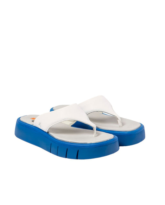 gid://shopify/Product/16171551752524_2