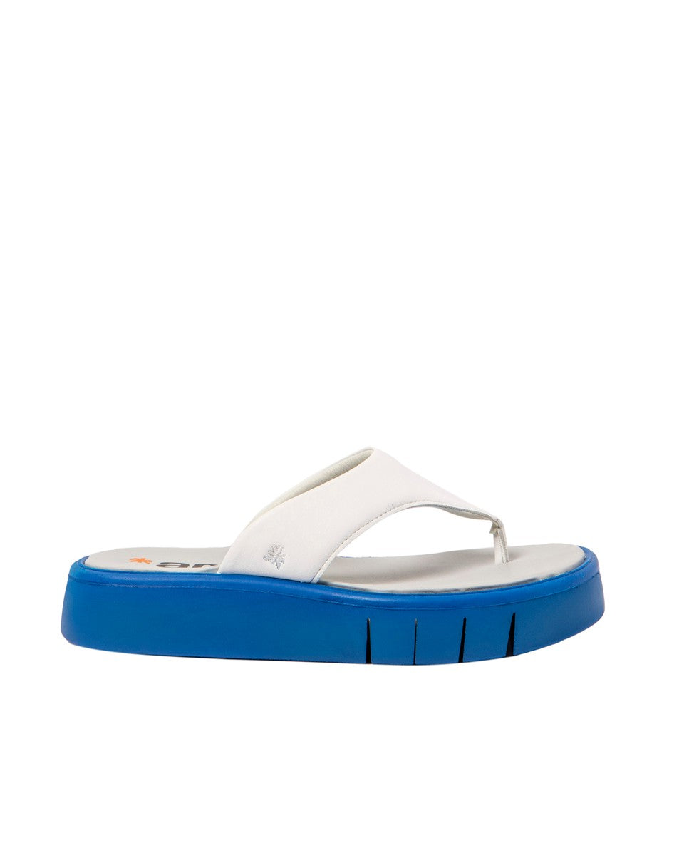 gid://shopify/Product/16171551752524_1