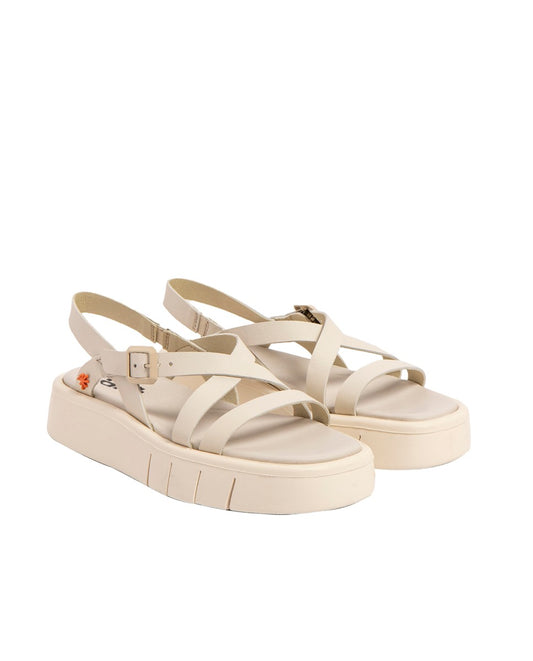 gid://shopify/Product/16171553063244_2
