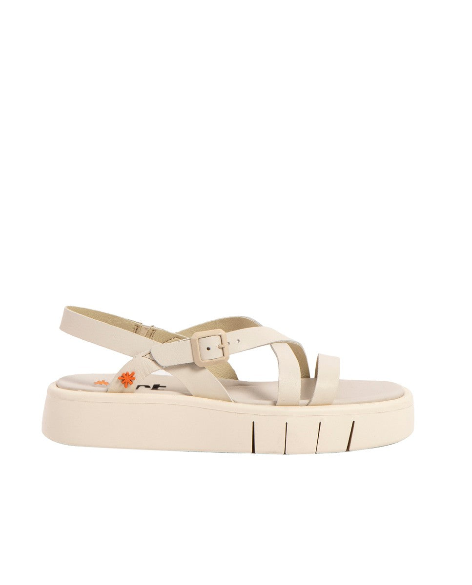 gid://shopify/Product/16171553063244_1