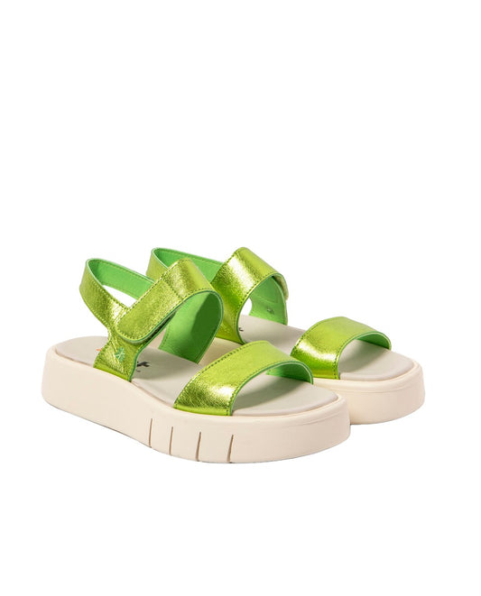 gid://shopify/Product/16171554832716_2