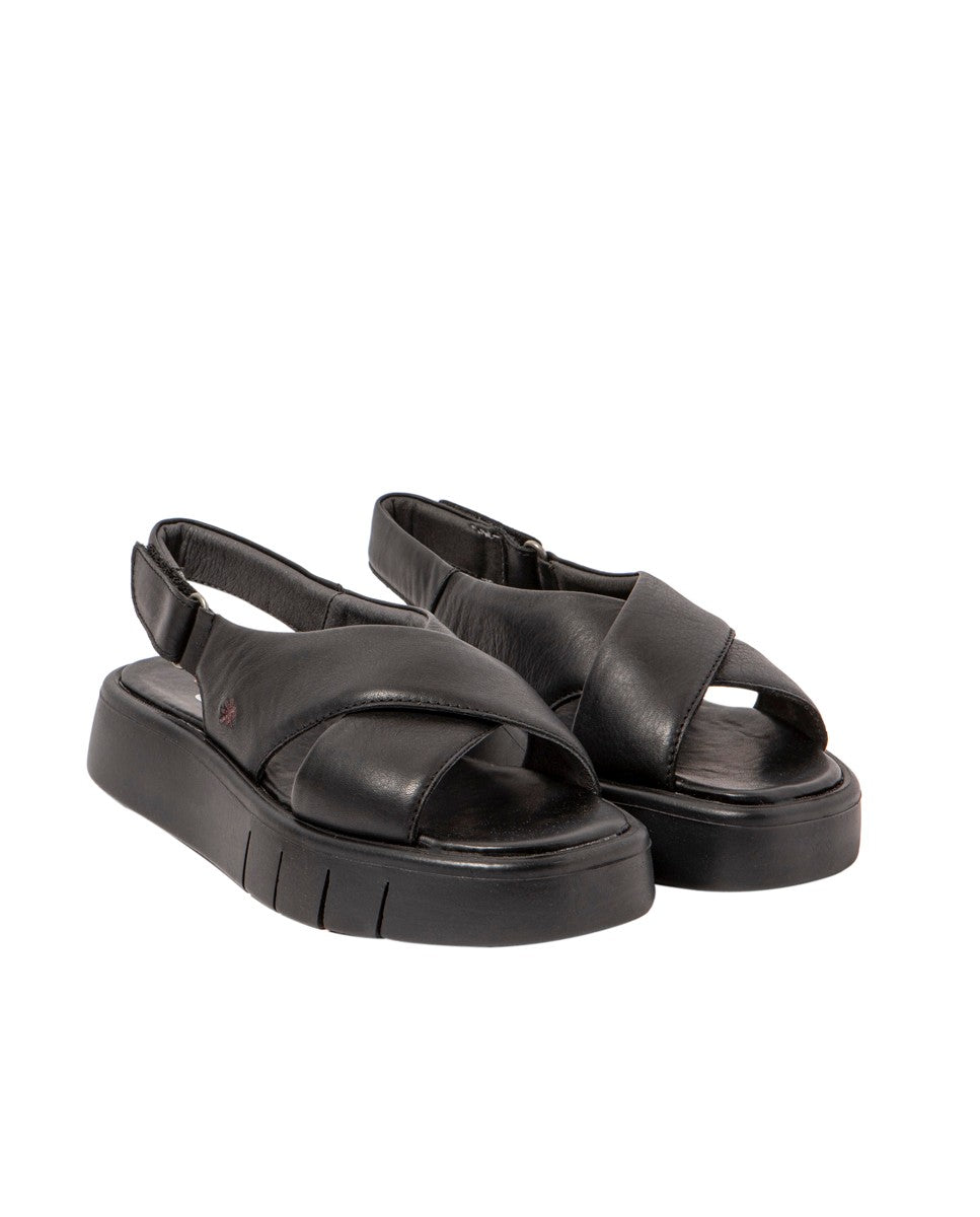 gid://shopify/Product/16171555520844_2