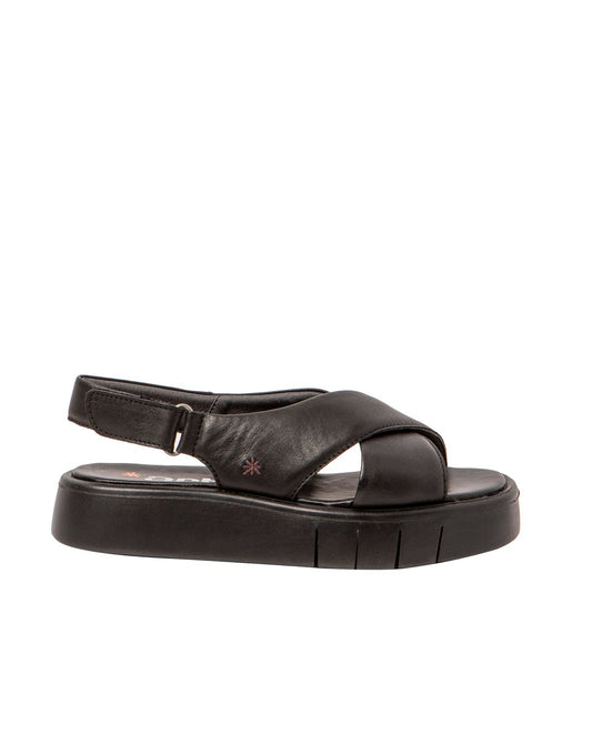 gid://shopify/Product/16171555520844_1