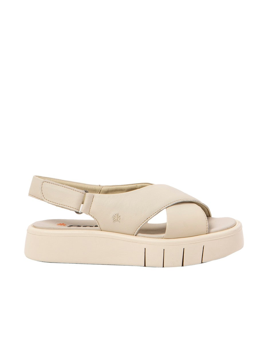 gid://shopify/Product/16171556405580_1