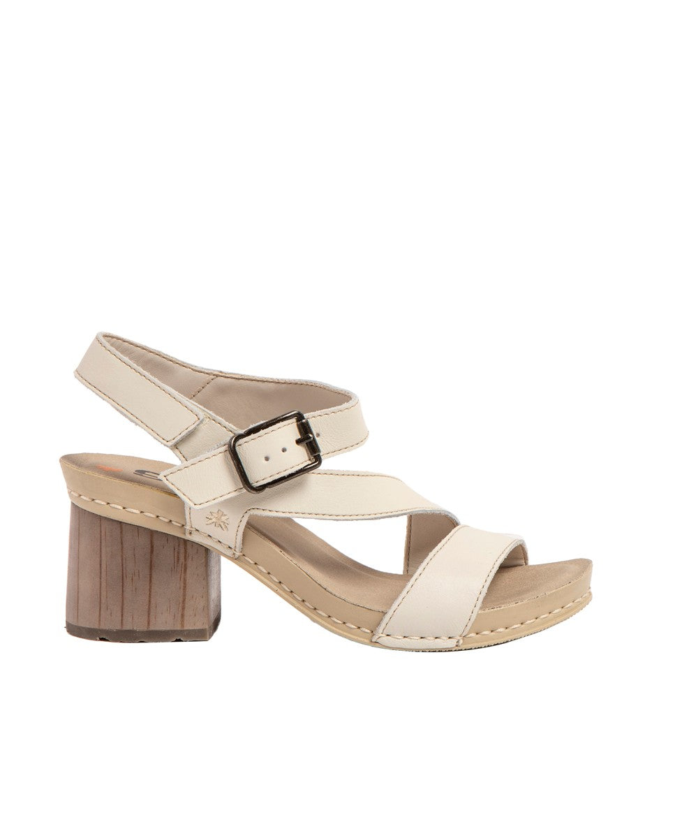 gid://shopify/Product/16171557224780_1