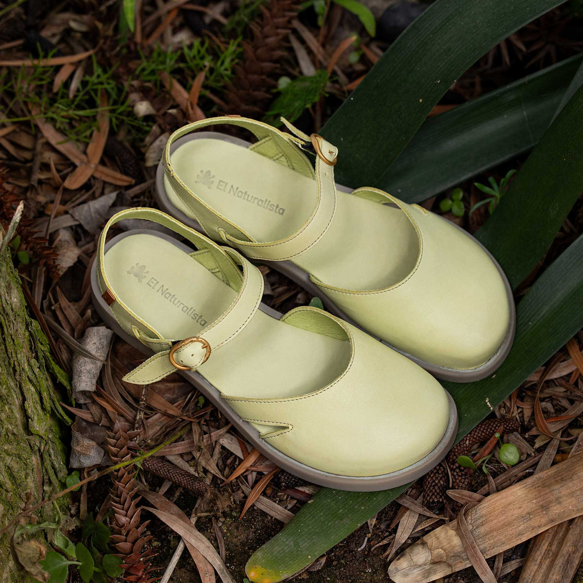 gid://shopify/Product/16124793454924_7
