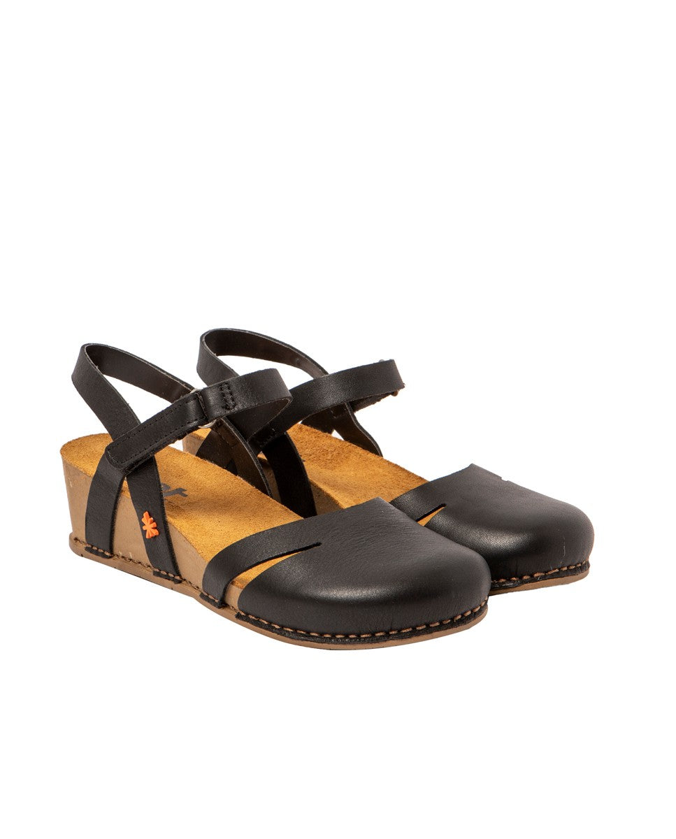gid://shopify/Product/16171593662796_2