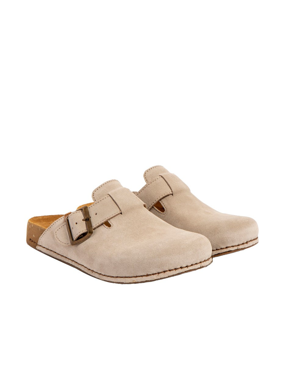 gid://shopify/Product/15700074299724_2