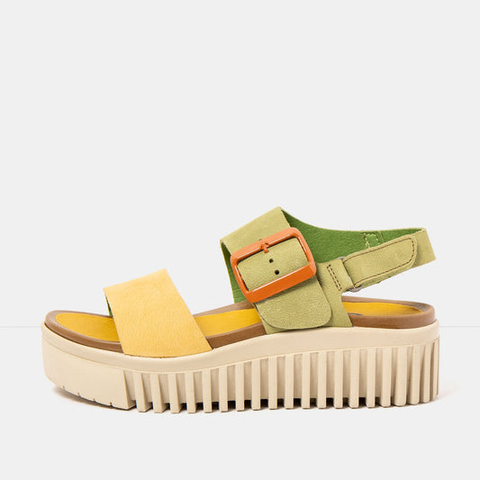 gid://shopify/Product/16172935545164_1