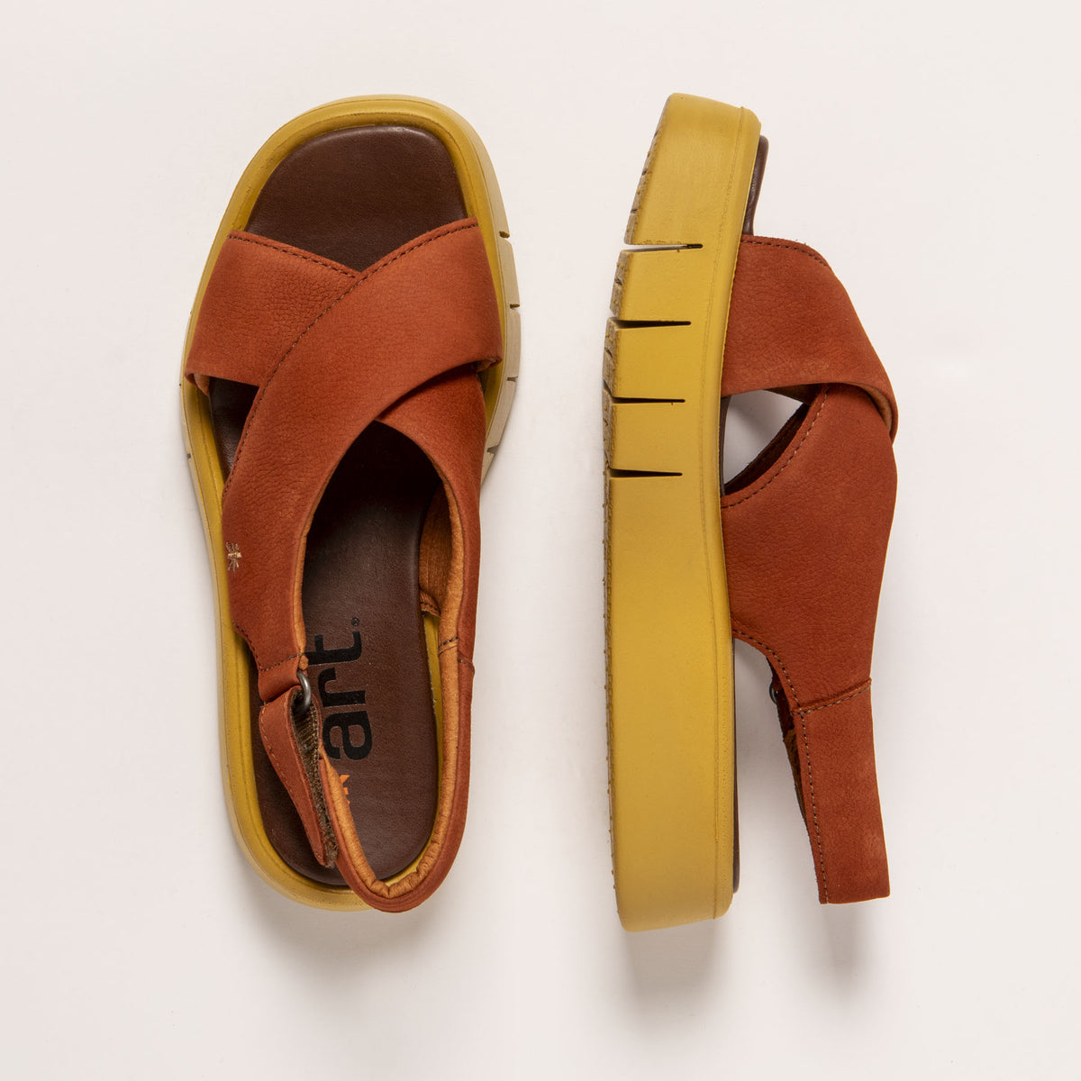 gid://shopify/Product/16172069716300_4