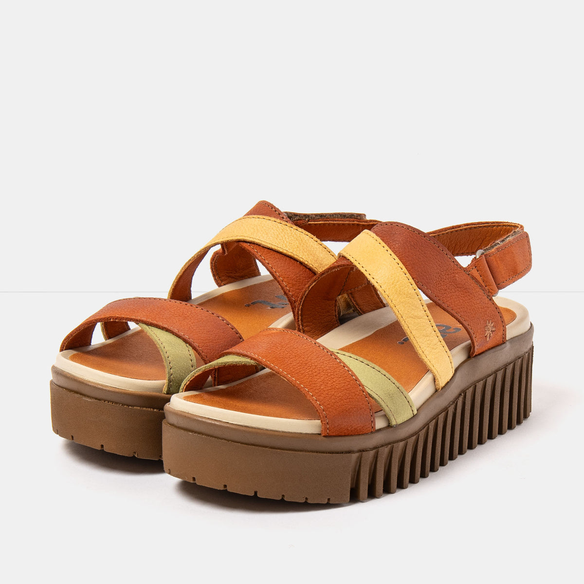 gid://shopify/Product/16172951077196_2