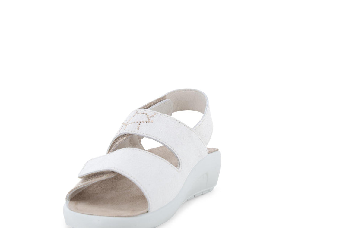 gid://shopify/Product/15761226727756_3
