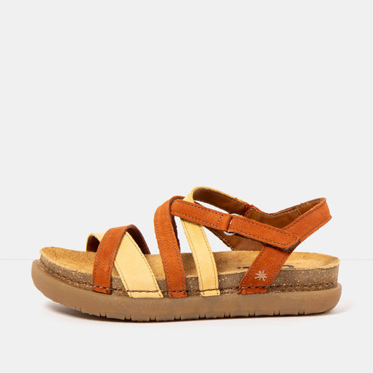 gid://shopify/Product/16172960973132_1