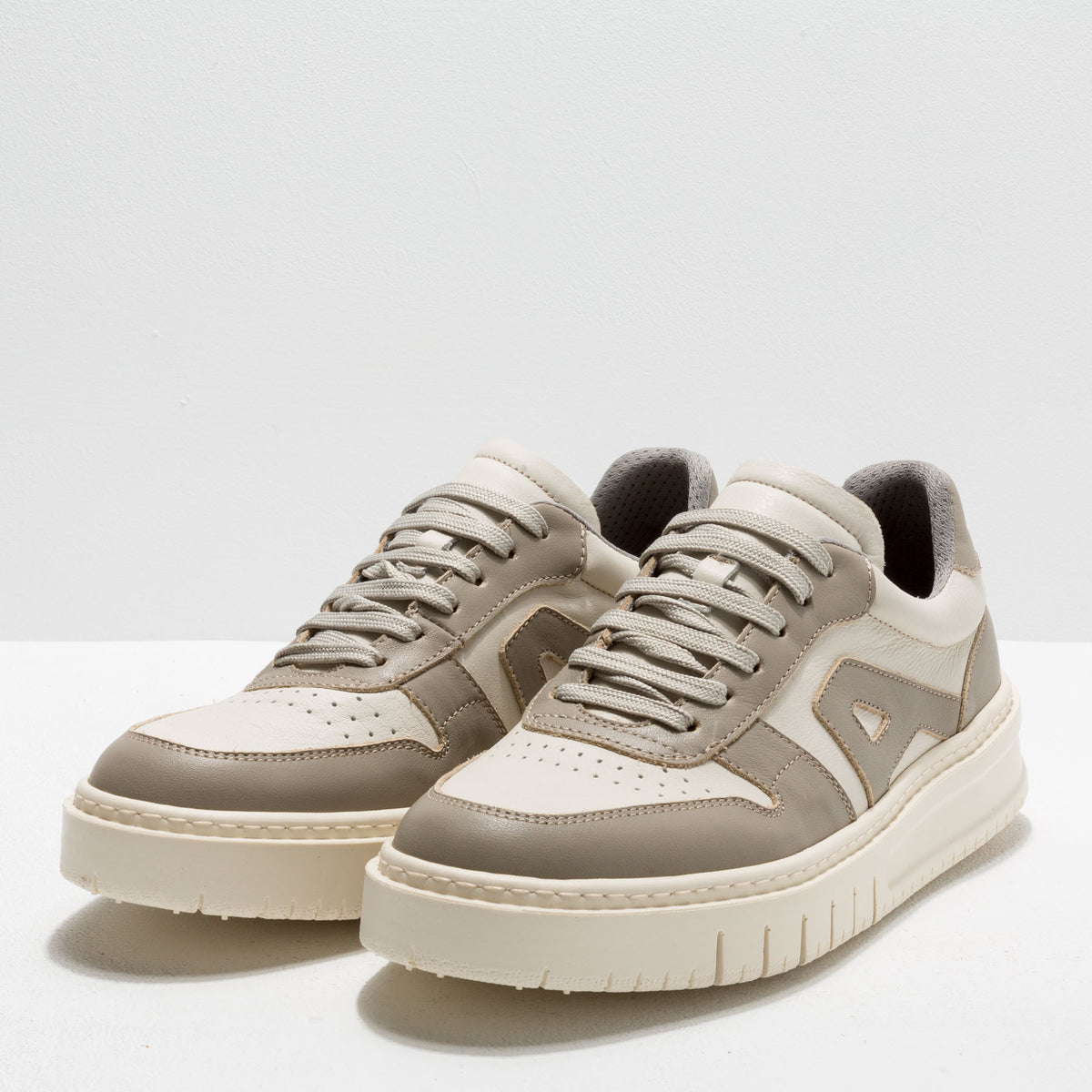 gid://shopify/Product/16171452465484_5