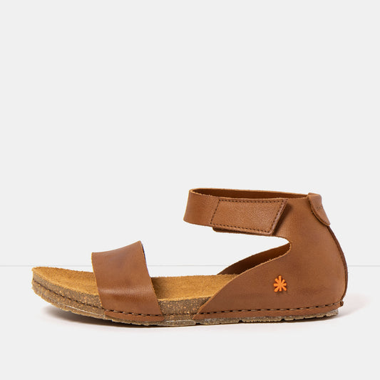 gid://shopify/Product/16172844450124_1