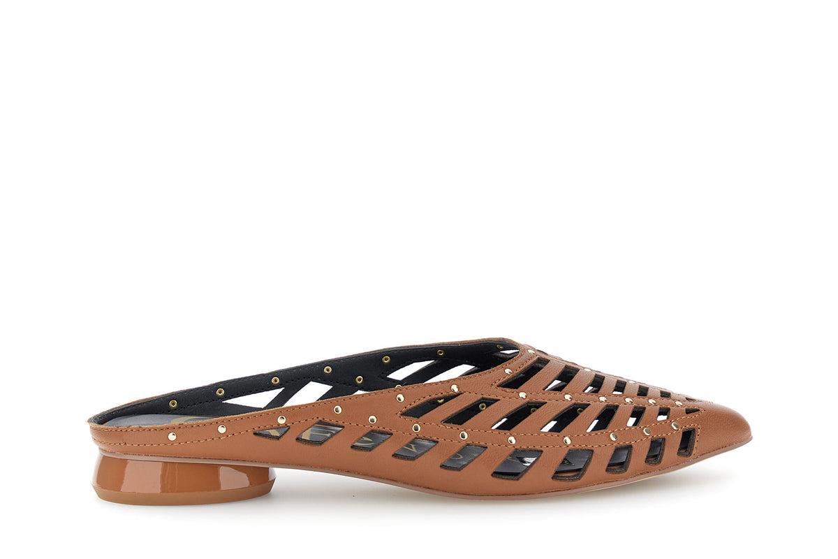 gid://shopify/Product/16122281099596_58876053750092
