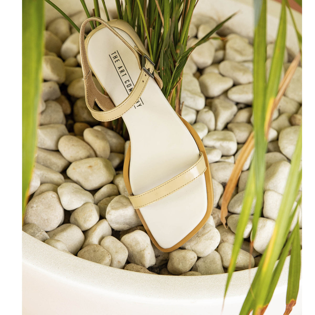 gid://shopify/Product/16173035159884_7