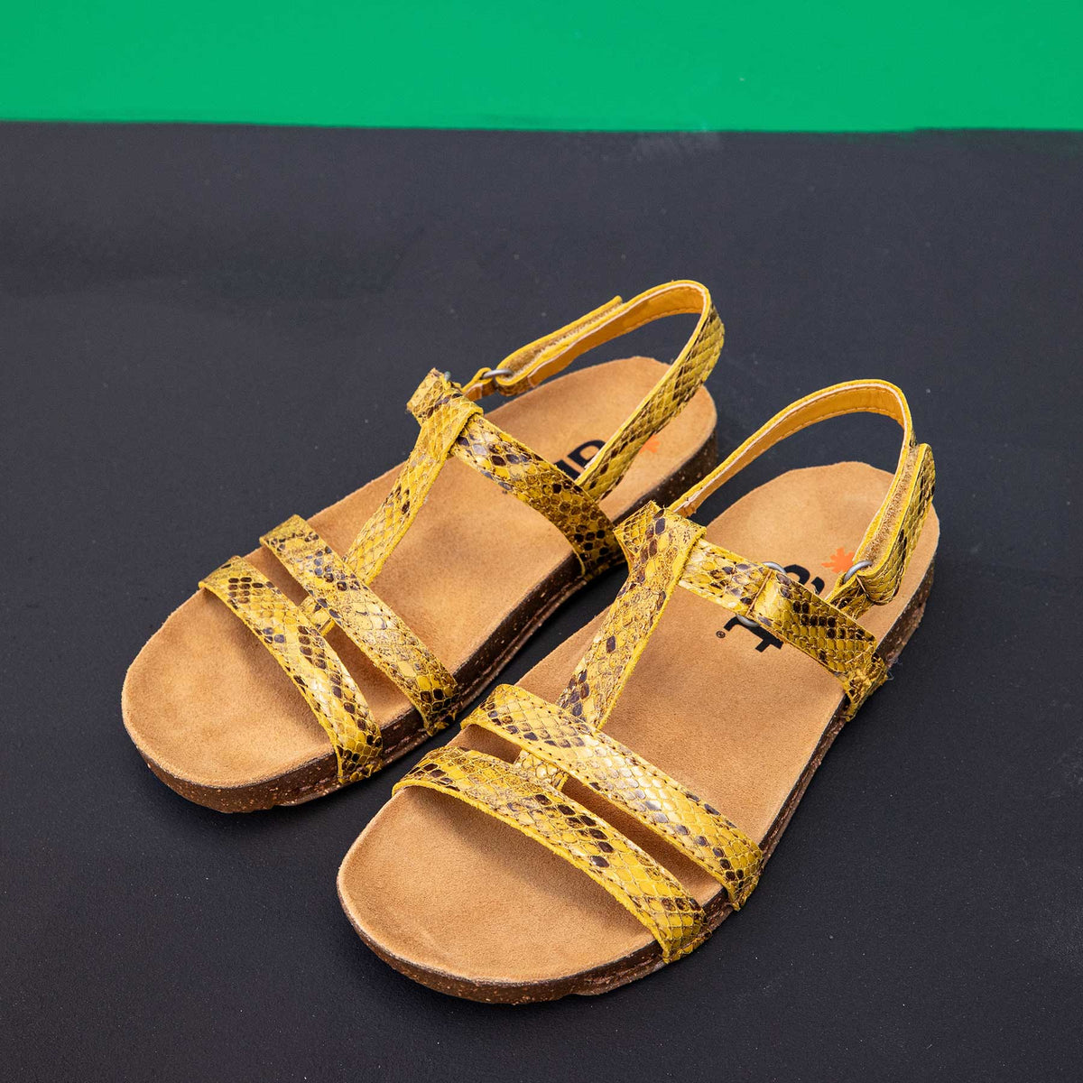 gid://shopify/Product/16171949228364_7
